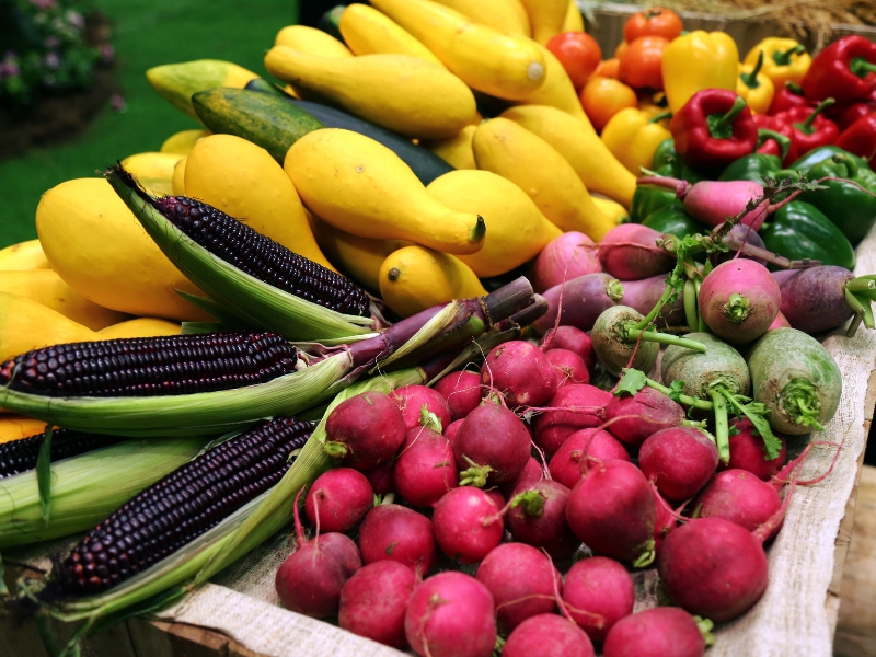 Dự án chuỗi siêu thị nông sản sạch